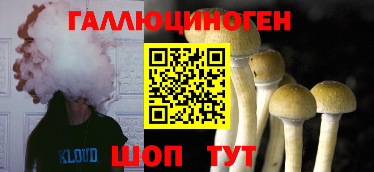 Галлюциногенные грибы ЛСД  Галлюциногенные грибы прущие грибы  Калининград  Вход с VPN 
